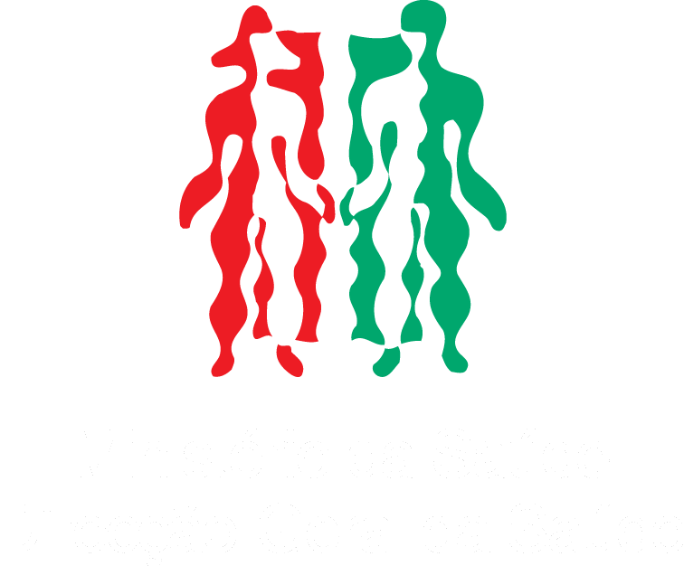 Ministério da Saúde